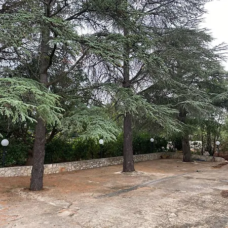 Pugliaholidayplus - Il Villone Nel Bosco
