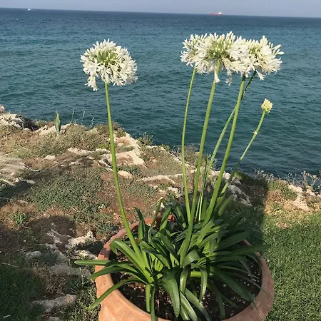 Pugliaholidayplus - Il Villone Nel Bosco *